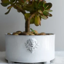 Mon Jules Planter
