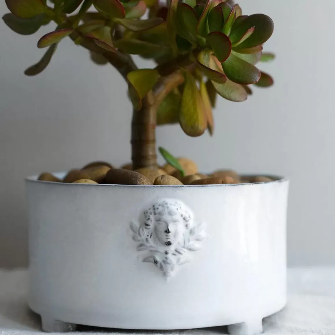 Mon Jules Planter